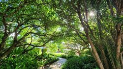 Holland Road (D10), Detached #497201571